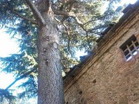 10486639 10203910289910523 489669410869946406 n