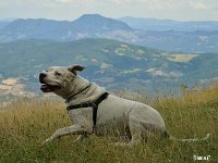 11227940 924749140917791 8764279777439156788 n