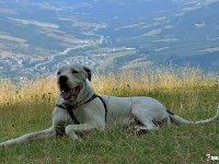 11751819 924749330917772 488077728763377522 n