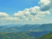 11752434 924750527584319 2539295195372870483 n