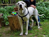 11800492 924749507584421 3172602062369450626 n