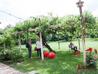 IMG 5853044