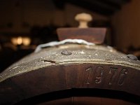 IMG 5869
