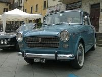 13423885 10206435838794562 4975974054795072196 n