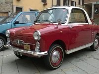 13435585 10206435800433603 394432555310291522 n