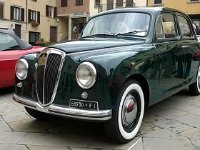 13442273 10206435786233248 1855719138969619648 n