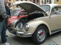 13507255 10206435778633058 9067541019138375066 n