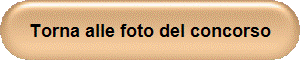 Torna alle foto del concorso
