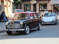 10404859 469687753208848 5597271357655254023 n