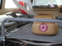 11188435 469688483208775 7439792108182068239 n