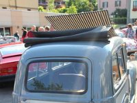 11698707 469688686542088 6170947127229490831 n