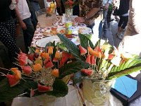 11638607 481837121990998 2044211396 o