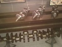 1653352 10202434536817618 2006496578 n  *