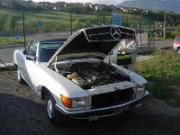 14523054 918134598319261 1454850256799480180 n