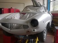 14543938 10207205583277693 1874526853431904839 o