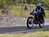 DSC 7399 00031  C o p y r i g h t   2 0 1 2   w w w . a d a m h a n l o n . c o m