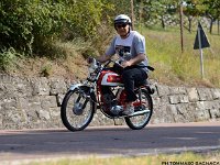 DSC 7428 00054  C o p y r i g h t   2 0 1 2   w w w . a d a m h a n l o n . c o m