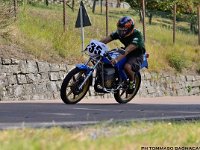 DSC 7430 00056  C o p y r i g h t   2 0 1 2   w w w . a d a m h a n l o n . c o m