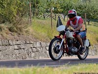 DSC 7438 00063  C o p y r i g h t   2 0 1 2   w w w . a d a m h a n l o n . c o m