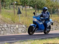 DSC 7439 00064  C o p y r i g h t   2 0 1 2   w w w . a d a m h a n l o n . c o m