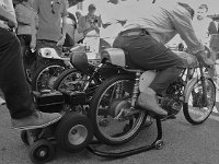 14088697 1088862927870389 8221744880597578596 n