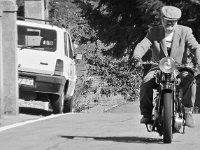 14089024 1088863997870282 4716626852786395140 n