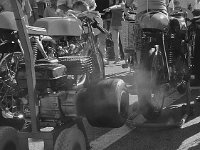 14089069 1088863297870352 3262244514286419280 n