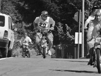 14102267 1088864571203558 2270438166600544980 n