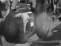 14102546 1088863224537026 5314983639732228231 n