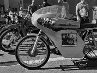 14102576 1088866264536722 6868048124699369769 n