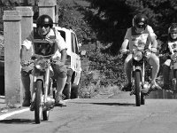 14102588 1088864207870261 9033288452912041965 n