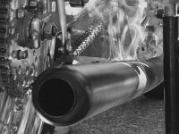 14117718 1088866494536699 1788391409579989417 n