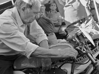 14141918 1088863167870365 8402686029444415727 n