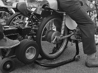 14184440 1088862987870383 2496855339471477807 n