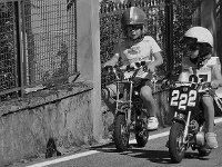 14184568 1088864374536911 2296003990626564353 n