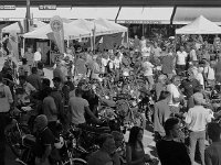 14212831 1088866391203376 2870092180270361745 n