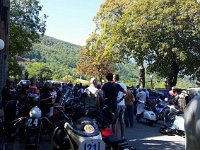 14139132 288565138180445 800911855 o