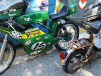 14163626 288565441513748 1978954036 o