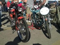 14068390 10206909464594911 5219475299624986088 o