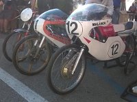 14102932 10206909250749565 5000735066580909841 o