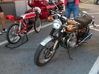 14107773 10206909239949295 2731615961948754550 o