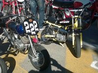 14138593 10206909252549610 6252884413520085057 o