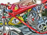 21267483 1432113103545368 1944370357 o