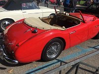 21766582 809892195856402 7229291565414458650 n