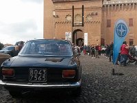 21768321 1456833424430675 6440768082944798263 n