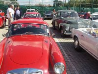 22046404 504711469909297 8270330394602166887 n