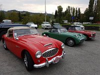 21764866 802844426543262 653182712531235147 n