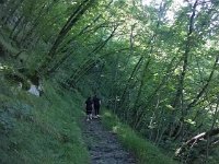 10376281 10203257820519196 7002669346416941122 n  *