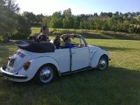 10427268 10203257830079435 3306940418791311824 n  *