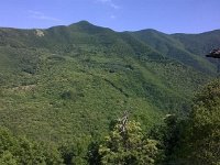 10487529 10203257821799228 5708058452243106618 n  *